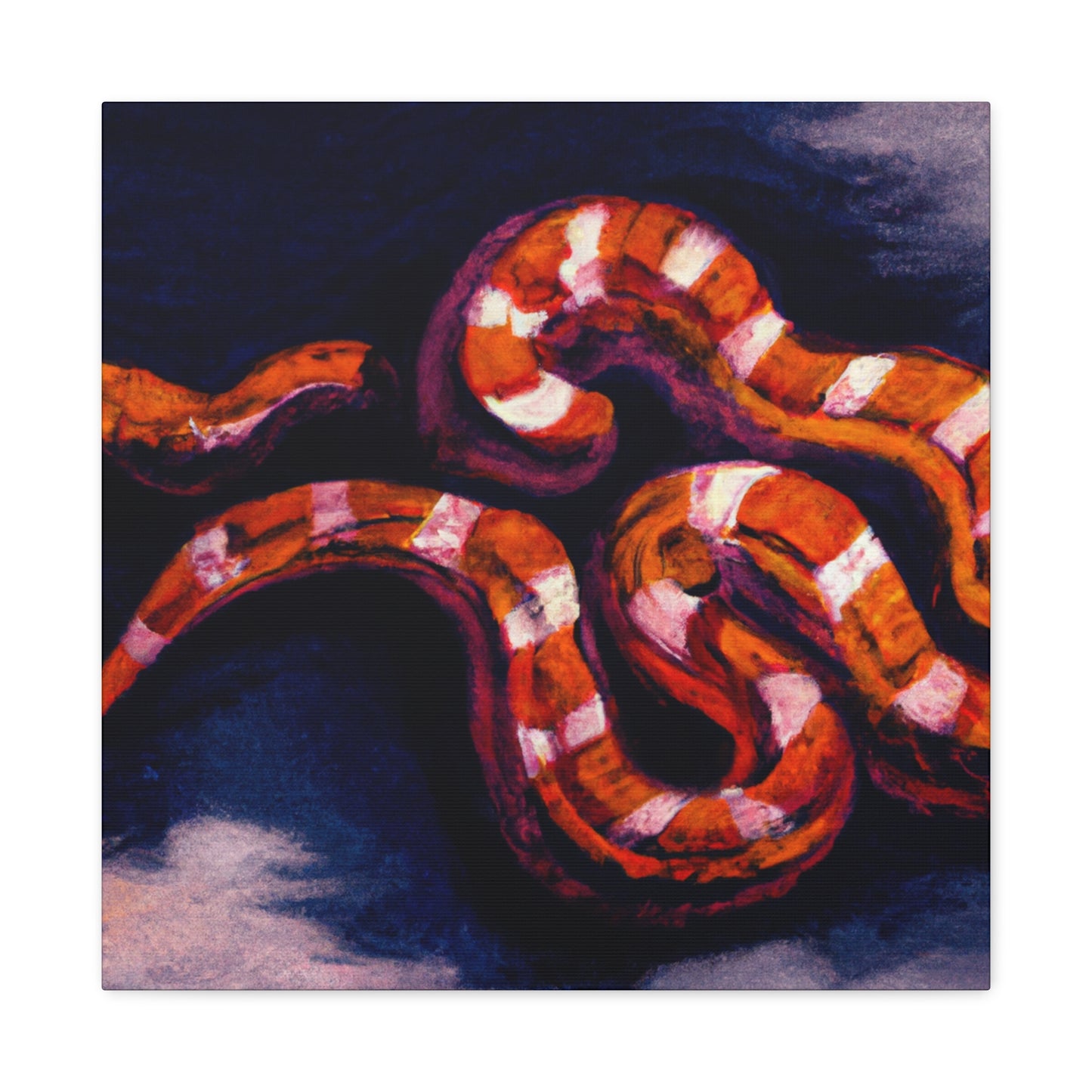 "Corn Snake Contemplation" - Canvas