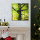 "Beech Tree, Serene Beauty" - Canvas