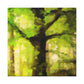 "Beech Tree, Serene Beauty" - Canvas