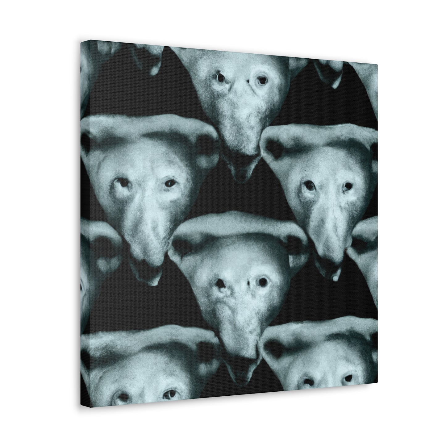 Polar Bear Abstractions - Canvas