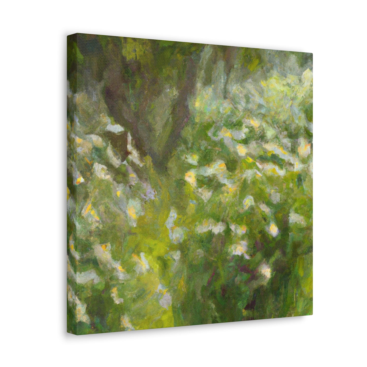 Daisy's Infused Color - Canvas