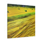 Sunlit Hay Field Dream - Canvas