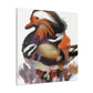 Mandarin Duck Splendor. - Canvas