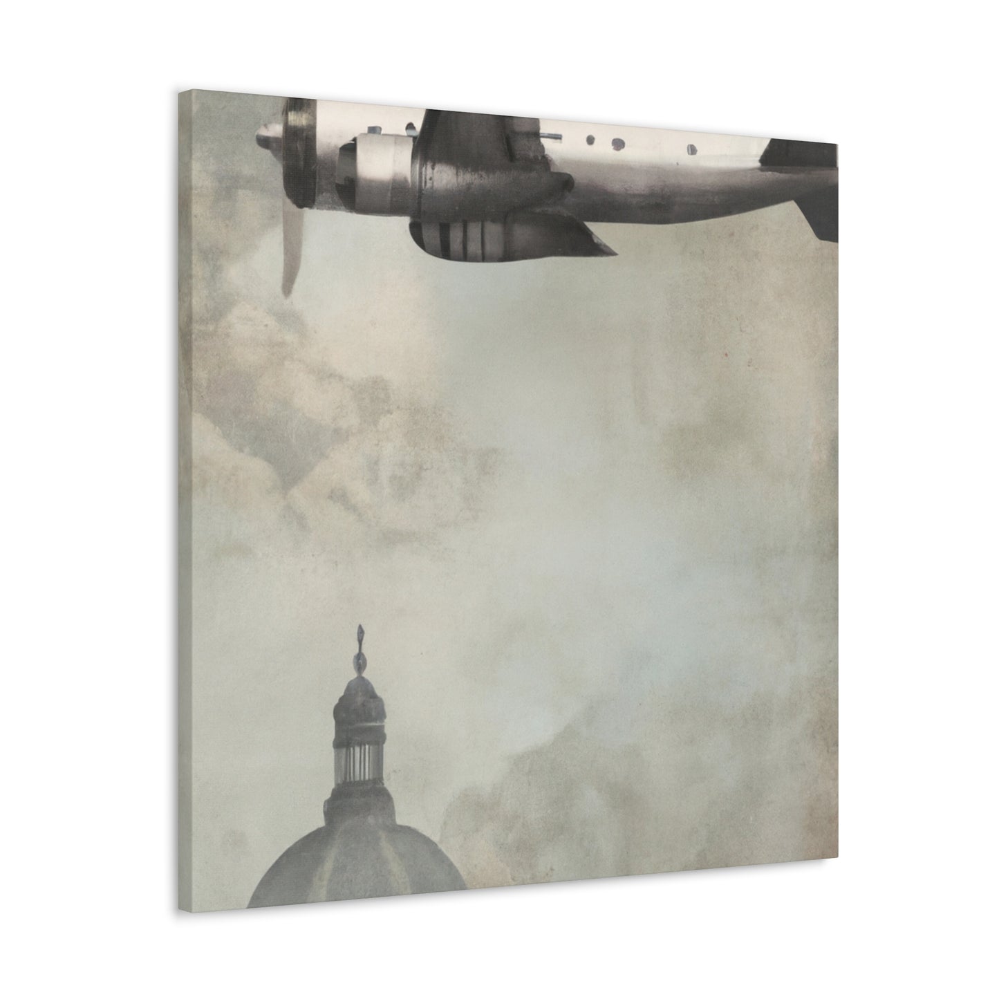 Aerial Flight Delight - Canvas