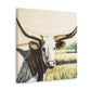 Texas Longhorns Reigning - Canvas