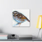 Song Sparrow Melodies - Canvas