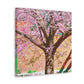 "Cherry Blossom Splendor" - Canvas