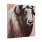 Musk Ox Splendor. - Canvas