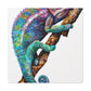 Veiled Chameleon Glint - Canvas