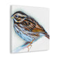 Song Sparrow Melodies - Canvas