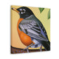 "Glamorous American Robins" - Canvas