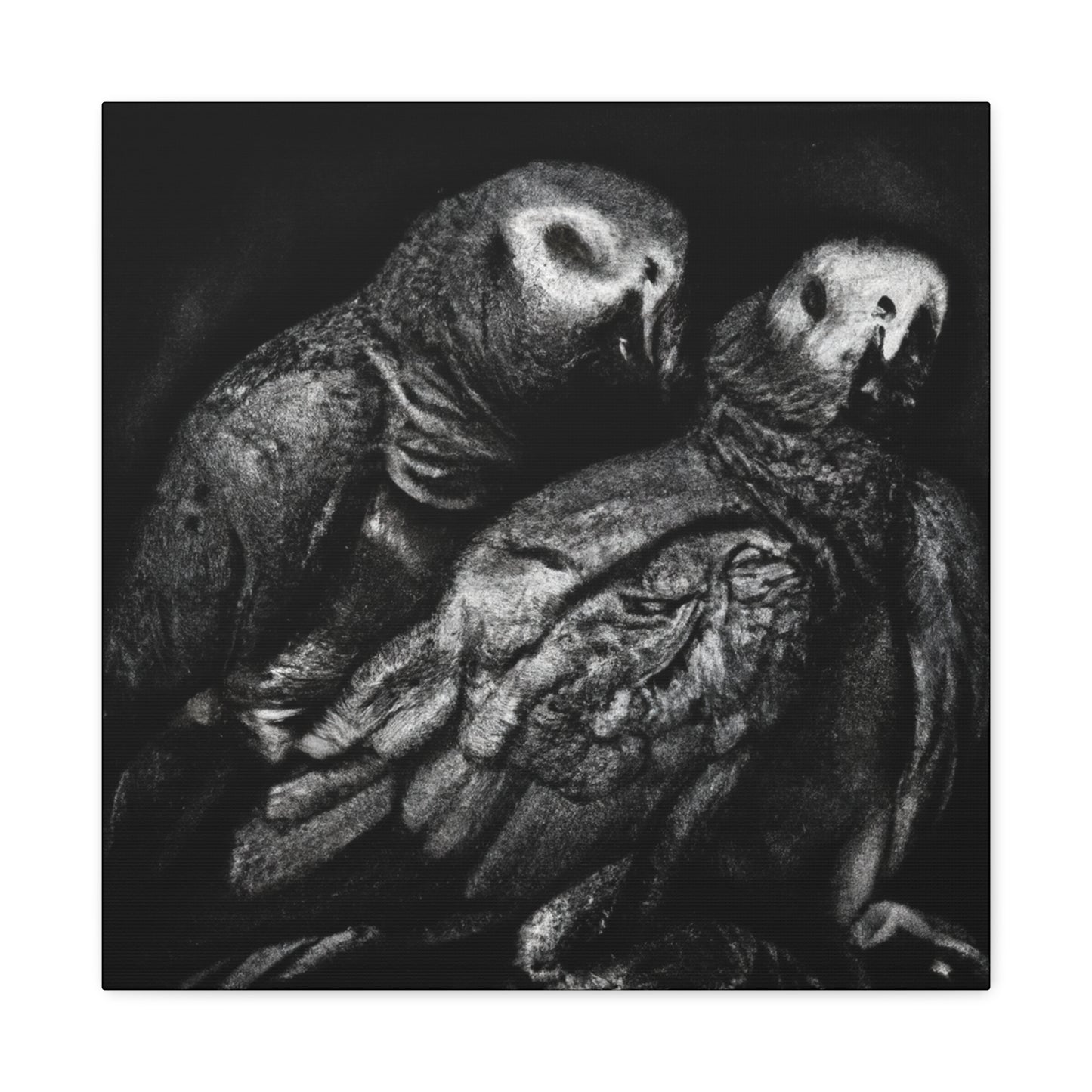 African Greys Regal - Canvas