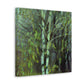 Birch Tree Impressionism - Canvas