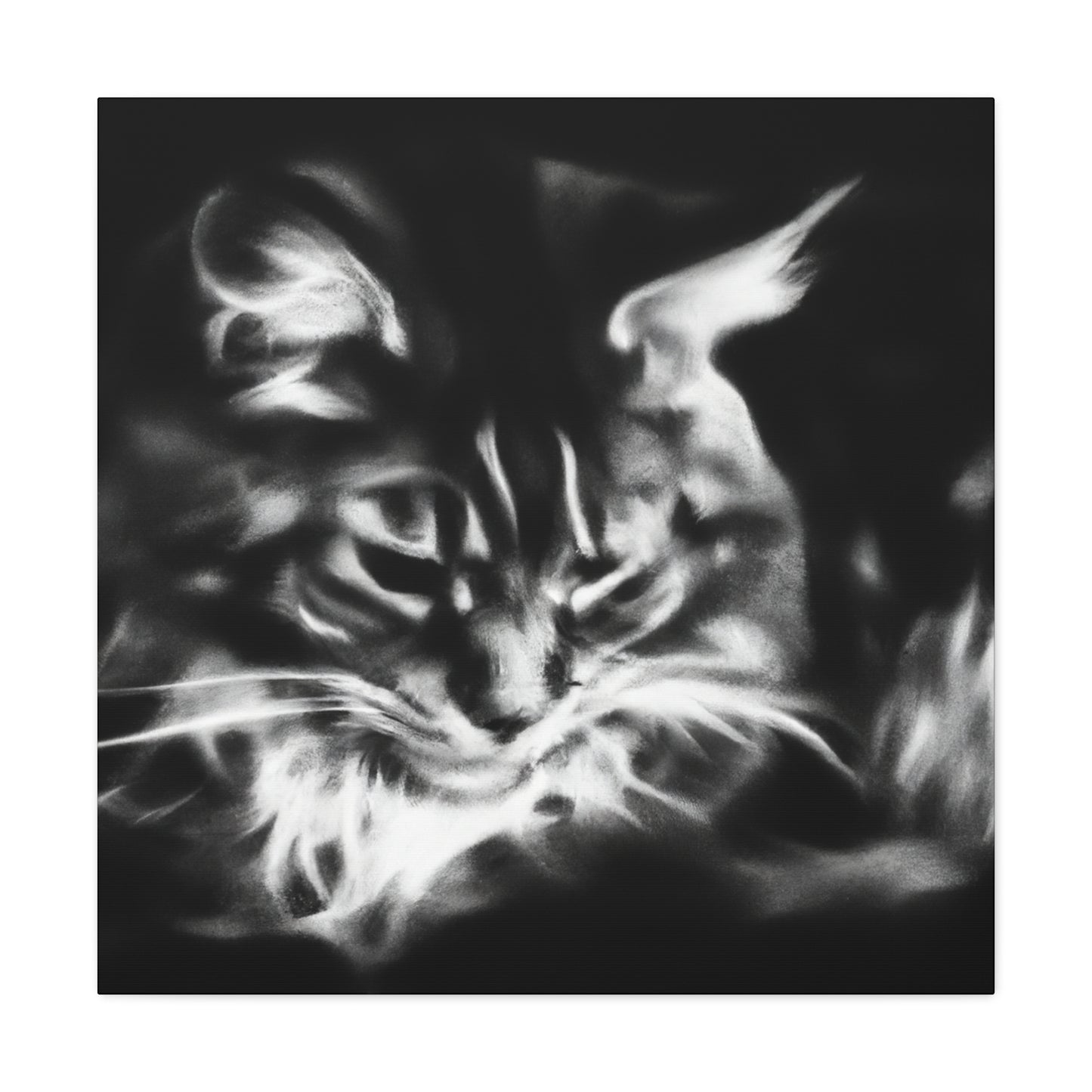 Maine Coon Expressionism - Canvas