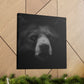 Asiatic Black Bear Gnos - Canvas