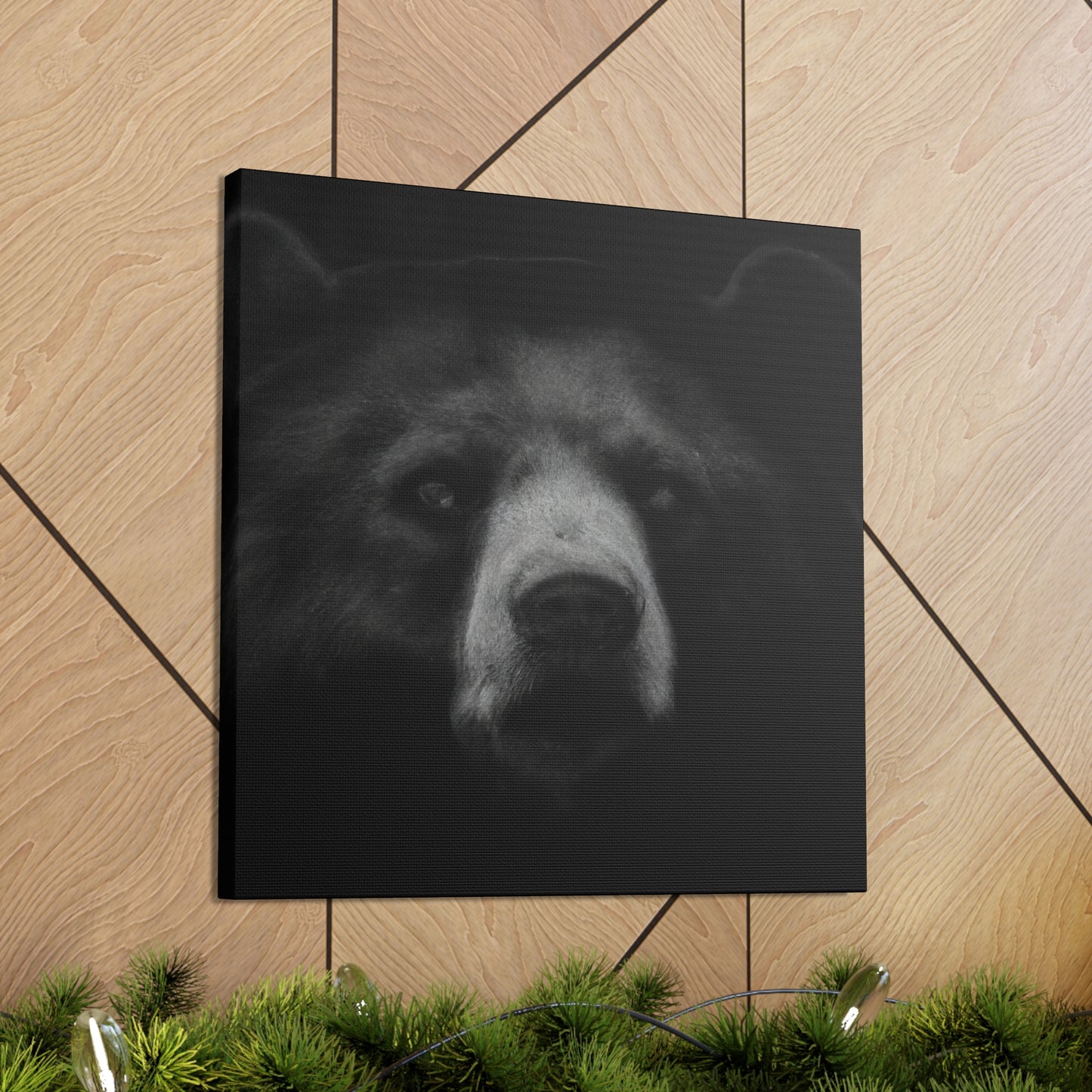 Asiatic Black Bear Gnos - Canvas