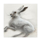 Arctic Hare Winter Scene - Canvas