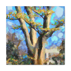 Beech Tree Reflection. - Canvas