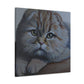 Scottish Folds Purrfection - Canvas