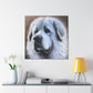 "Proud Pyrenees Portrait" - Canvas