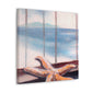 "Starfish, Seeking Horizon" - Canvas