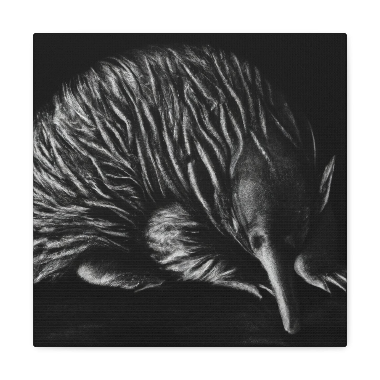 Echidna: Glorious Beauty - Canvas