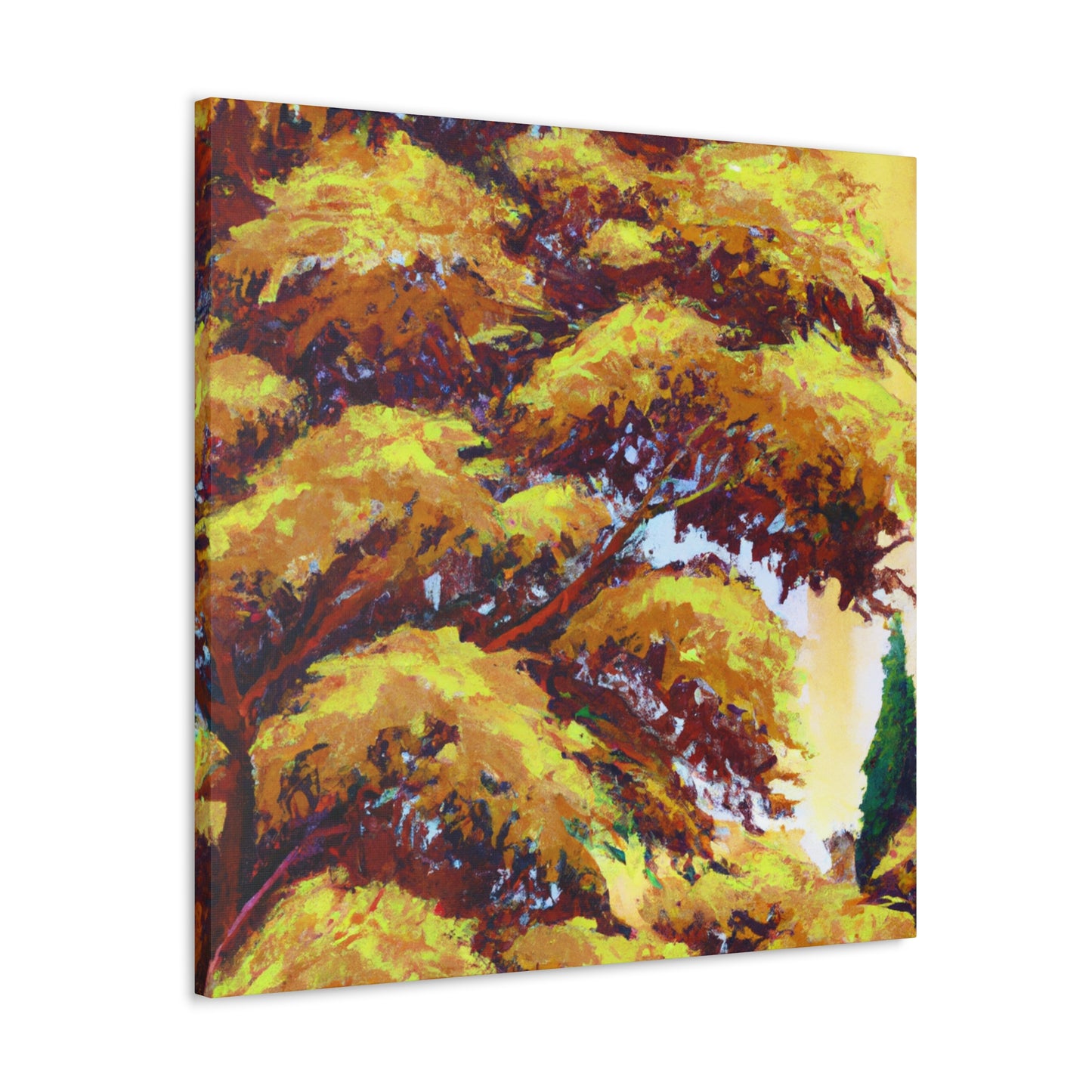 Maple Tree Glowings - Canvas