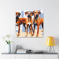 Rhodesian Ridgeback Reflection - Canvas