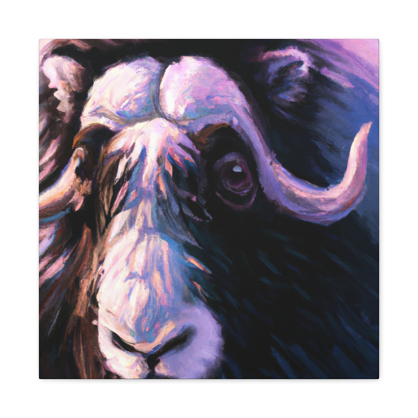 Musk Ox in Monochrome - Canvas