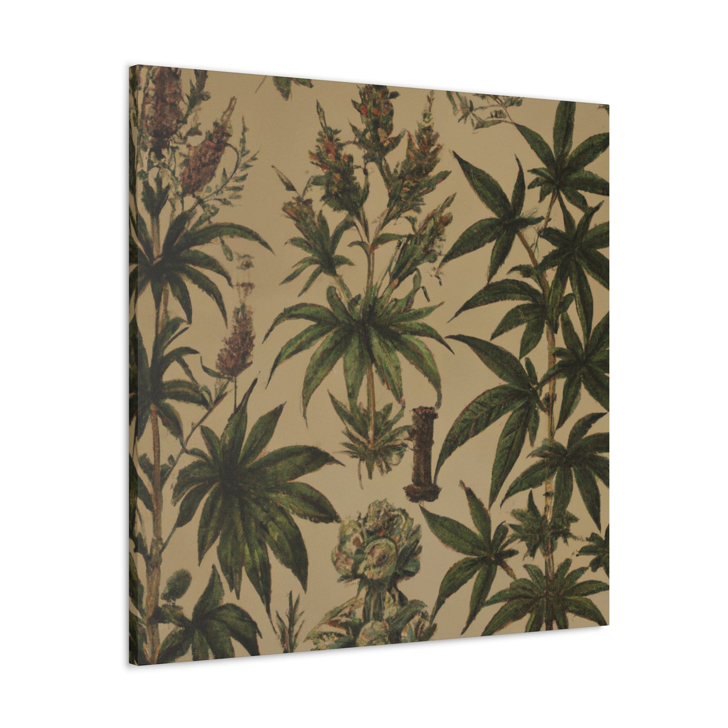 "Cannabis Sativa Blooms" - Canvas