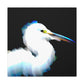 Snowy Egret Memory. - Canvas