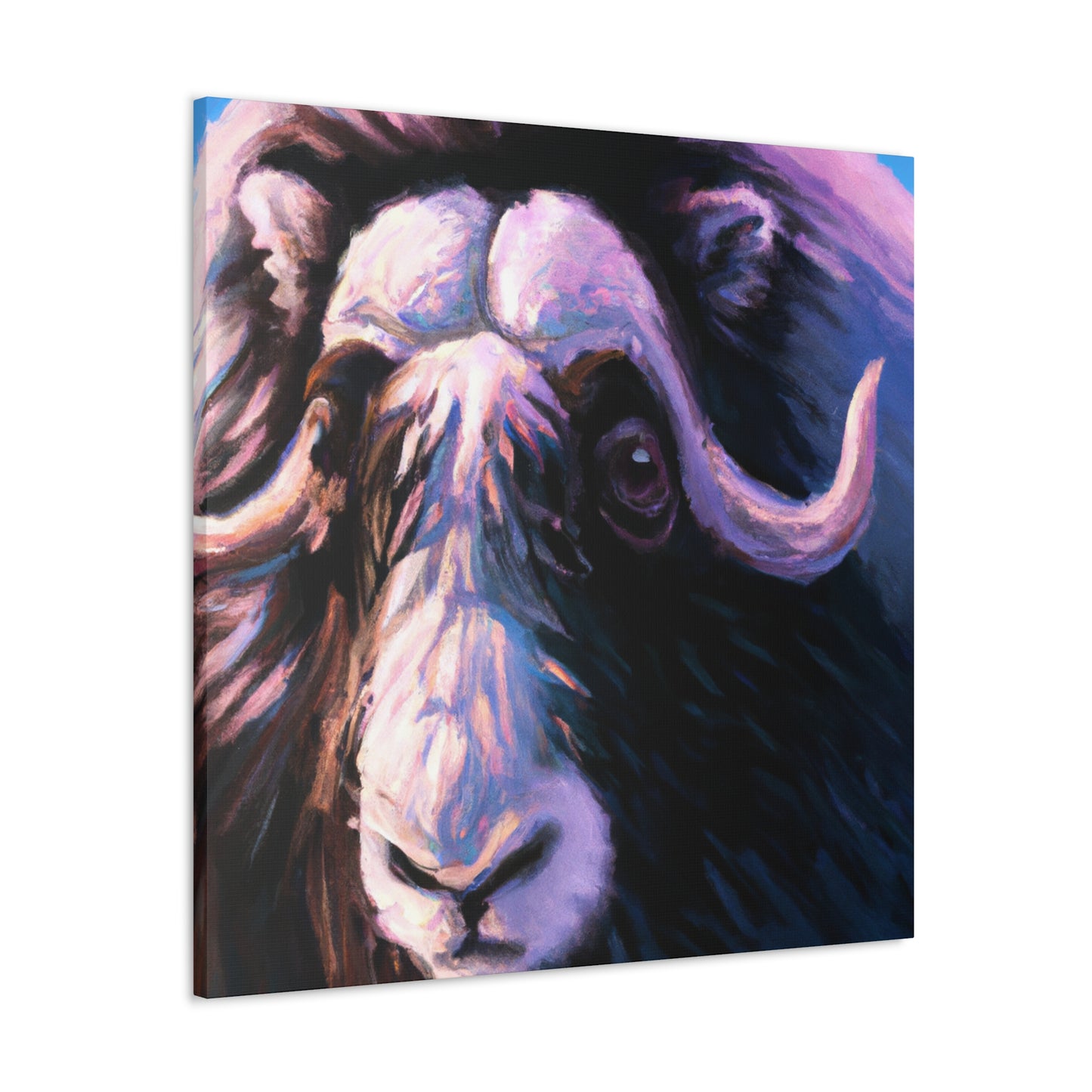 Musk Ox in Monochrome - Canvas