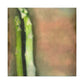 "Asparagus in Bloom" - Canvas