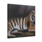 "Tiger of Bengal Splendor" - Canvas