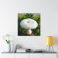 White Mushroom Brilliance - Canvas