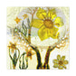 A Daffodil's Beauty - Canvas