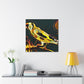 "American Goldfinch Hues" - Canvas