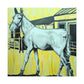 Mule of bygone days - Canvas