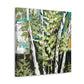 Birch Tree Grandeur - Canvas