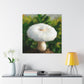 White Mushroom Brilliance - Canvas