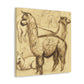 Alpaca Magnificence Abounds - Canvas