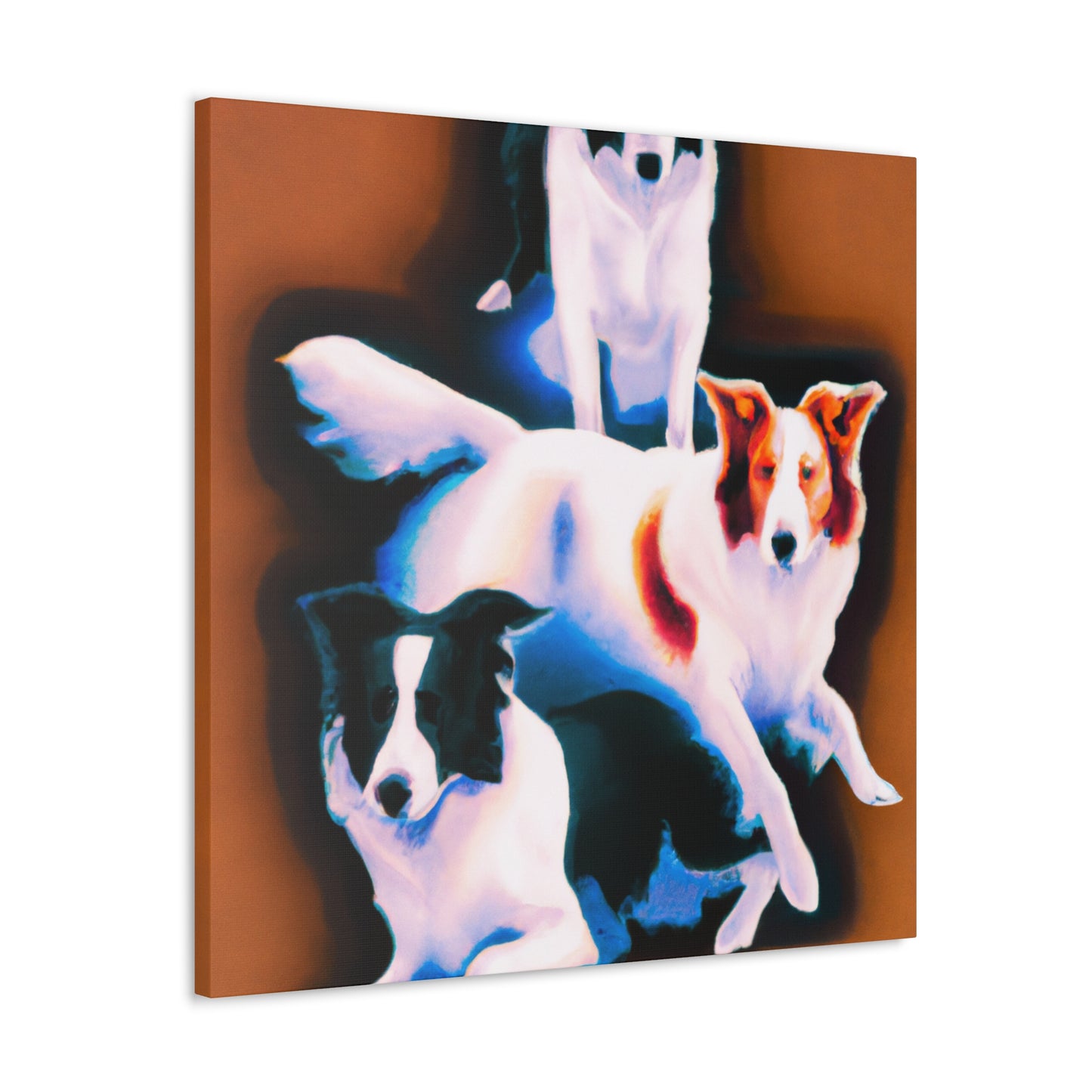 Border Collie Reflection - Canvas