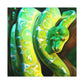 Green Tree Python Slither - Canvas