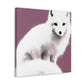 Arctic Fox Duo Bliss - Canvas