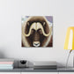 Musk Ox Majestic Power - Canvas