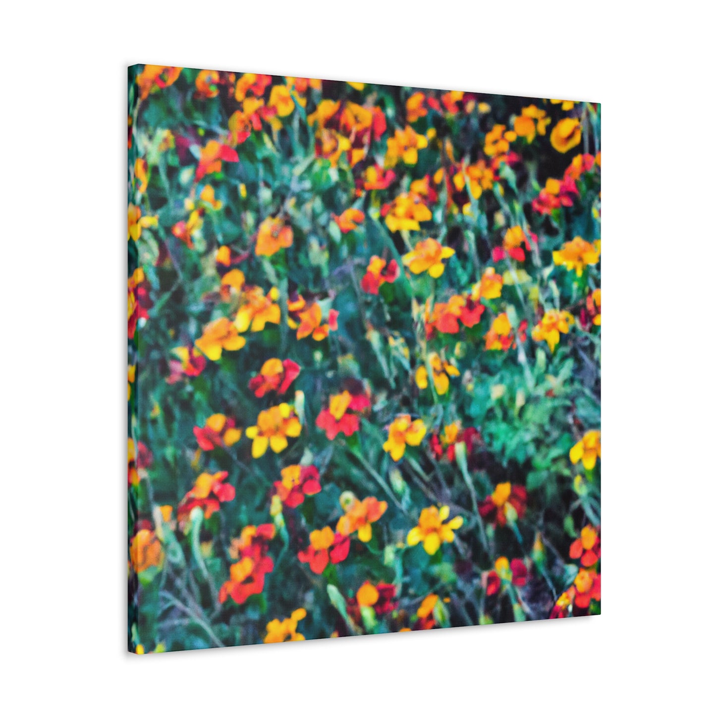 "Glorious Marigold Bloom" - Canvas