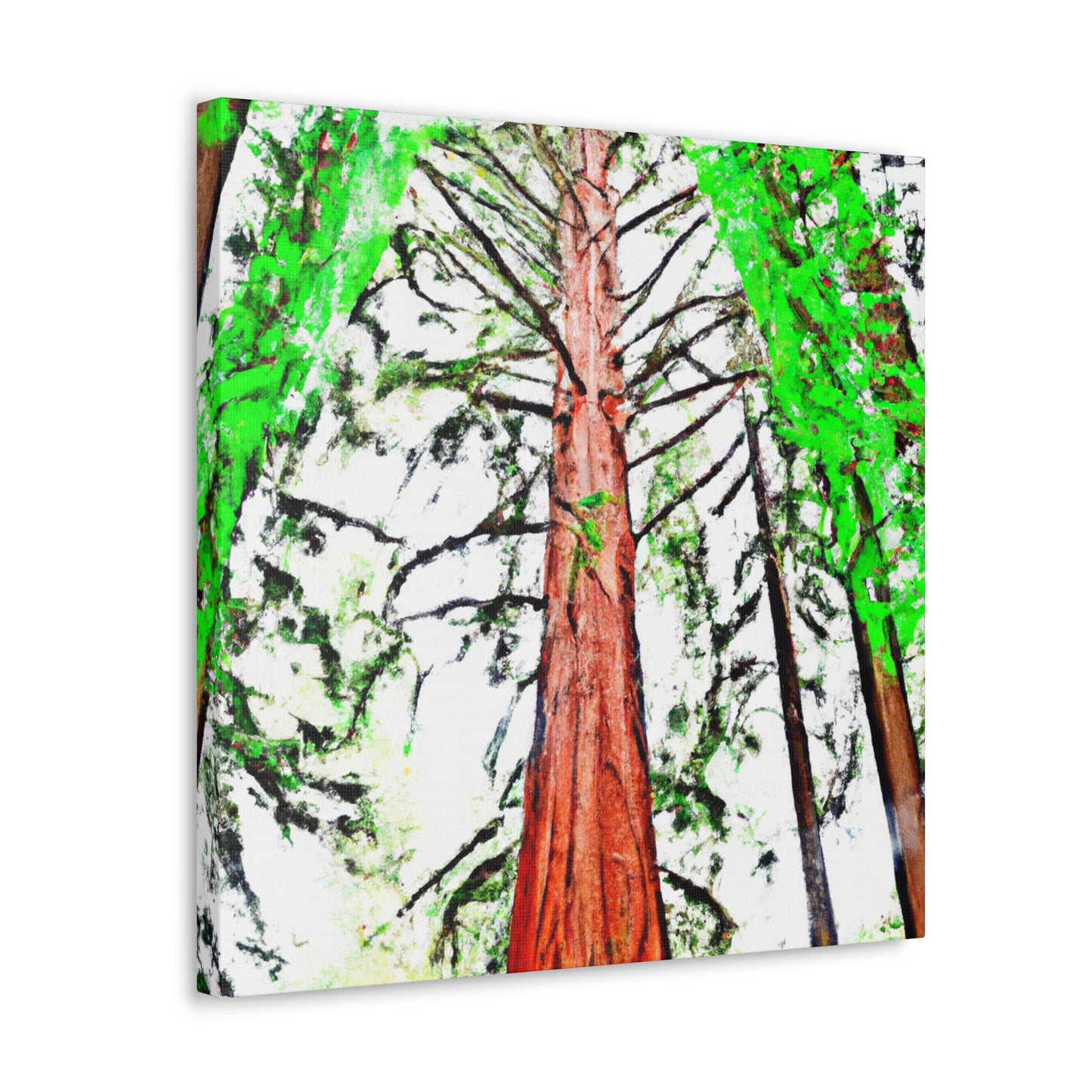 Redwood's Dreamscape - Canvas