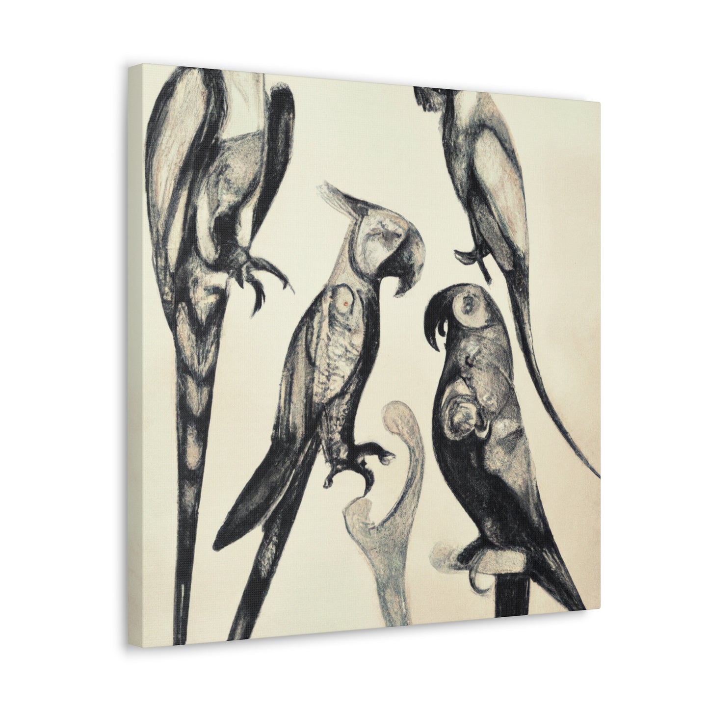 Senegal Parrot Splendor - Canvas