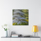 Cedar Tree Splendour - Canvas