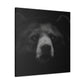 Asiatic Black Bear Gnos - Canvas